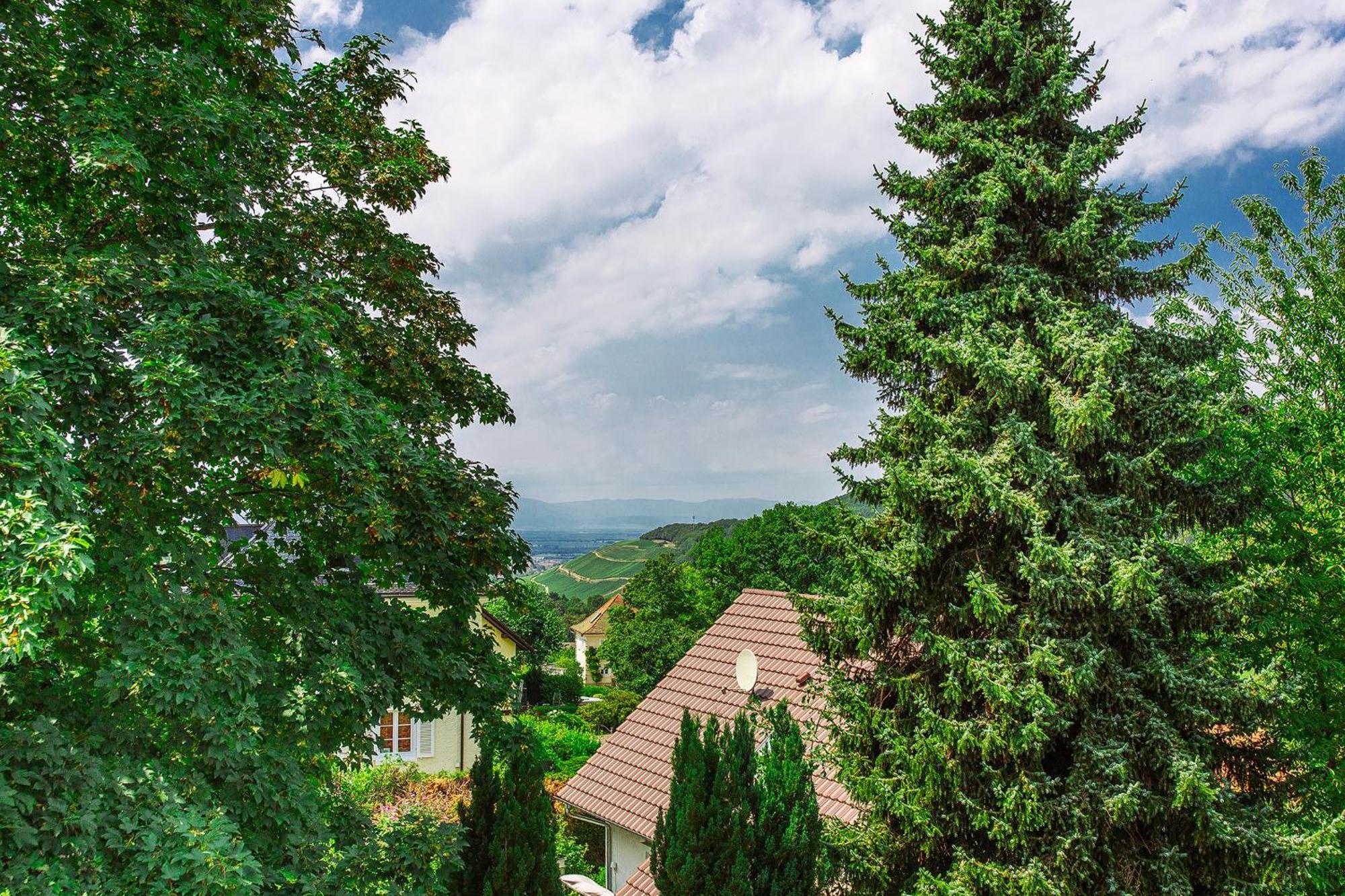 Am Tannenweg * Badenweiler